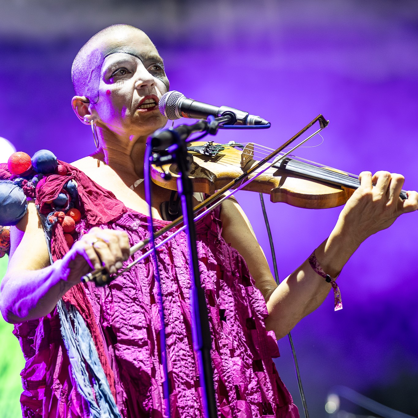 Sleepytime Gorilla Museum