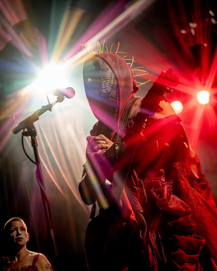 Sleepytime Gorilla Museum