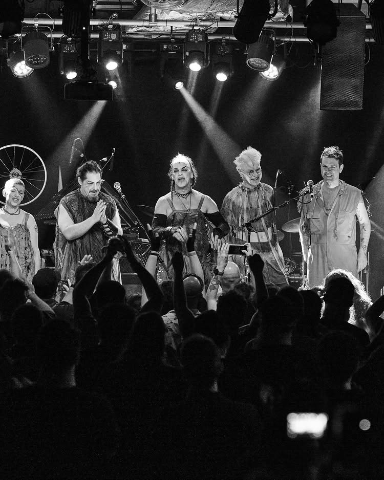 Sleepytime Gorilla Museum